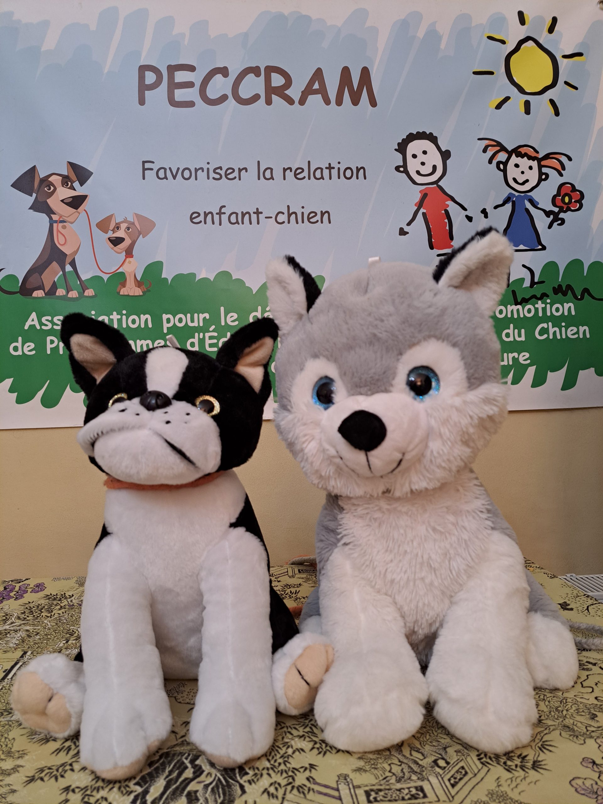 atelier PECCRAM Isère, Trièves, Programme d’Éducation à la Connaissance du Chien et au Risque d'Accident par Morsure, enfants