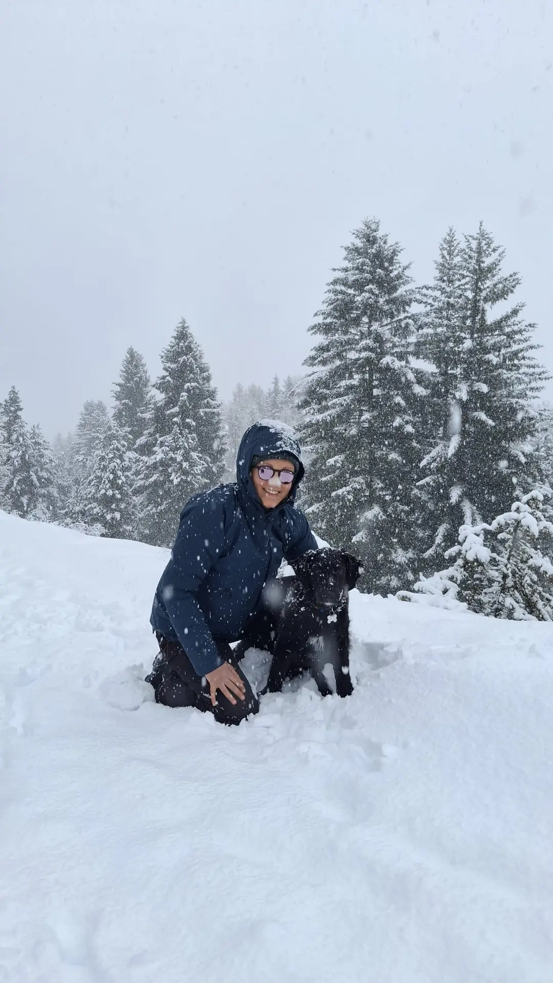 Educateur Canin Comportementaliste Trieves Sud Isere