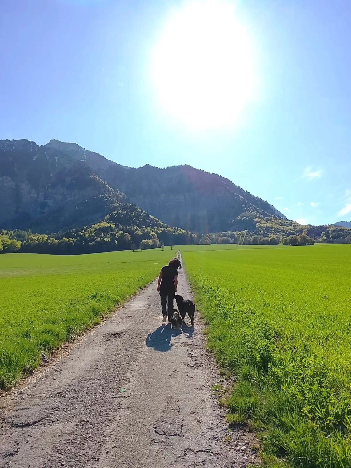 éducatrice canine comportementaliste trièves Sud Isère, PECCRAM, Lire Avec le Chien LAC