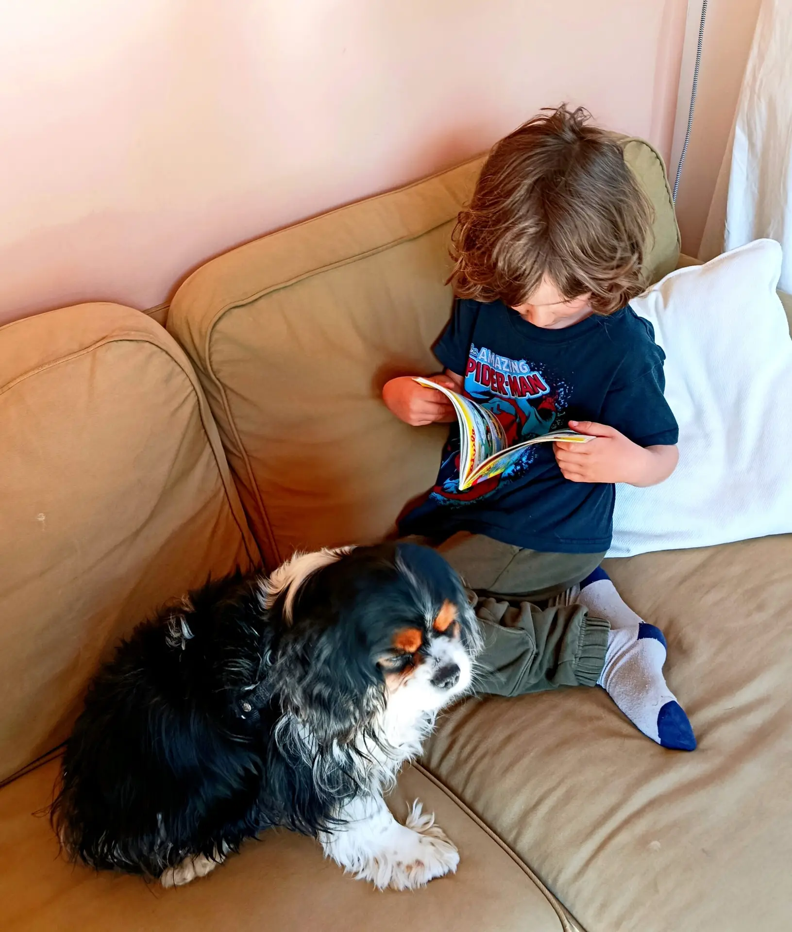 Lire Avec le Chien en Isère, médiation par l'animal, apprentissage de la lecture pour les enfants